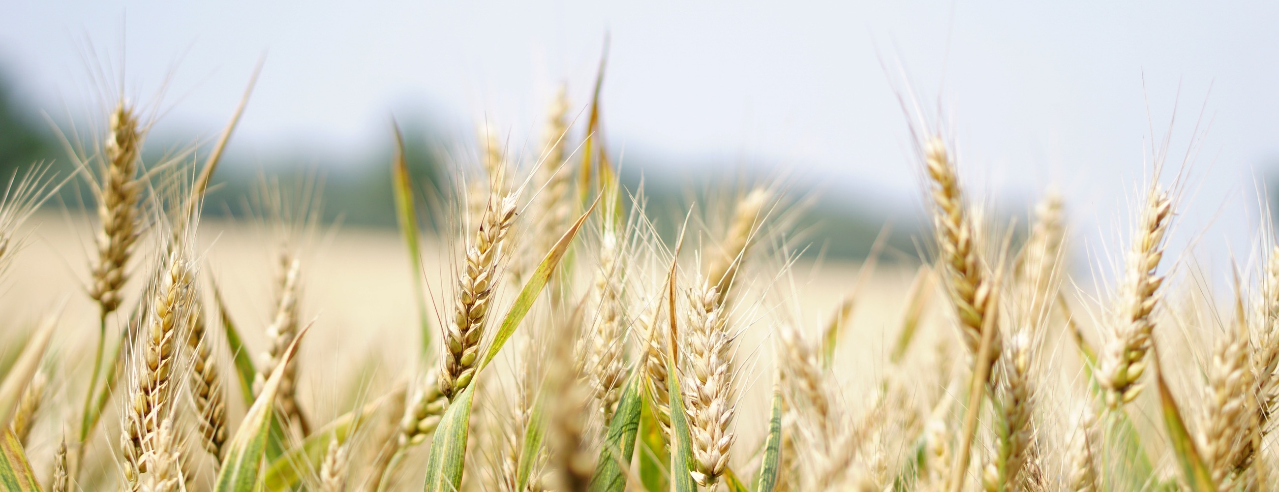 Mon Avis sur HeavyFinance en 2025