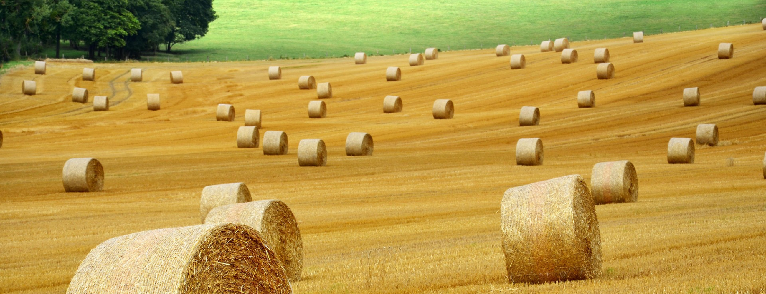 Best European Platforms for Impact Investing